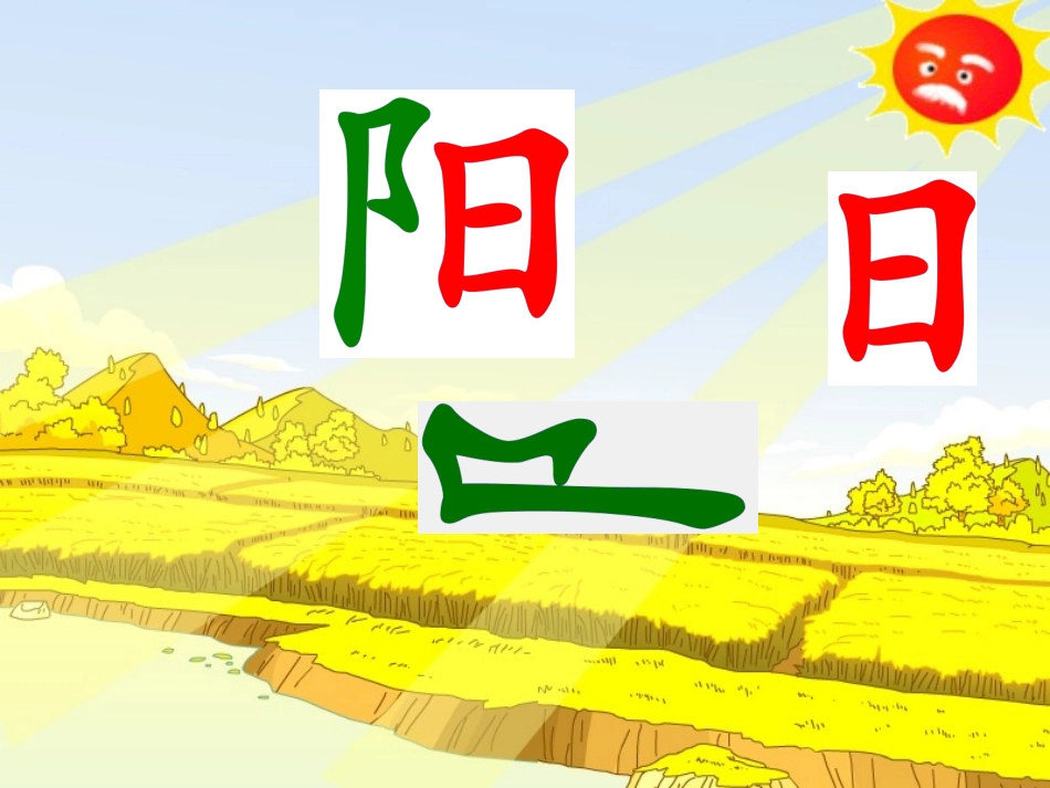 阳光第一课时_第3页