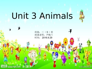 三年级上Animals四线格