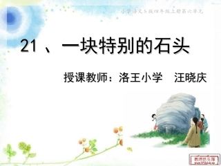 一块特别的石头_课件 (2)