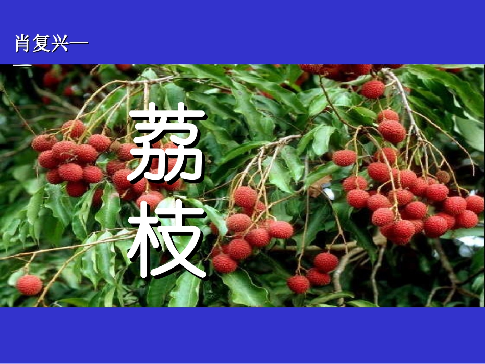 六年级语文上册《荔枝》_(4)_第1页
