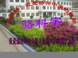 矩形的定义、性质