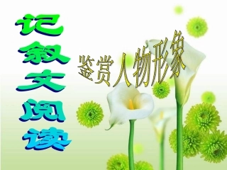 中考语文复习专题课件 记叙文阅读之人物鉴赏