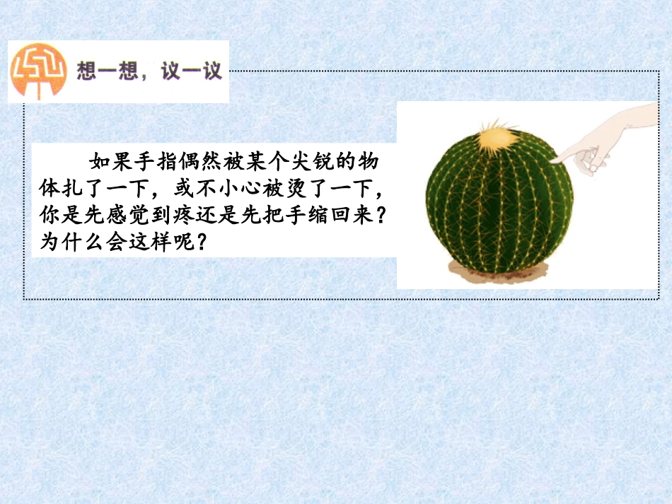 下册第四单元第6章第三节神经调节的基本方式（17张）（共17张PPT）_第2页