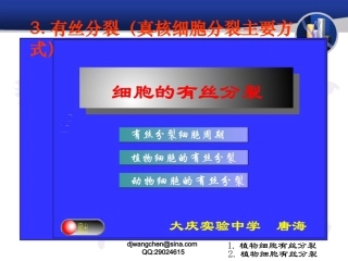有丝分裂演示