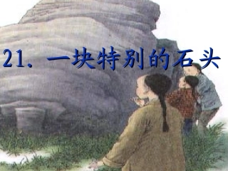 一块特别的石头[1]