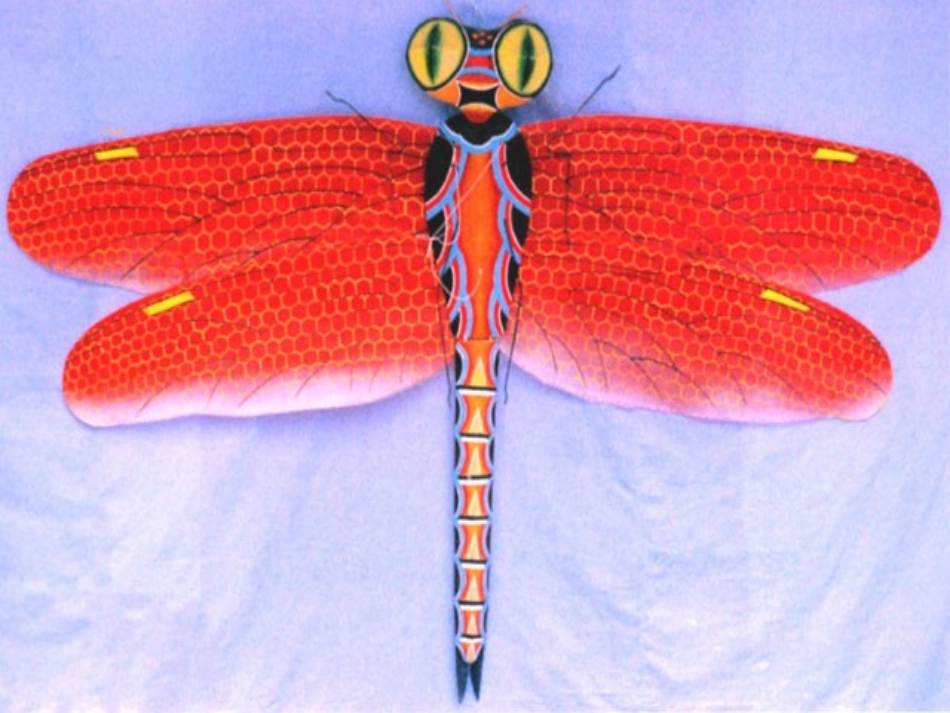 三年级语文上册课件_风筝_5_(1)_第1页