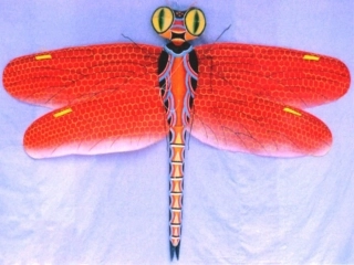 三年级语文上册课件_风筝_5_(1)