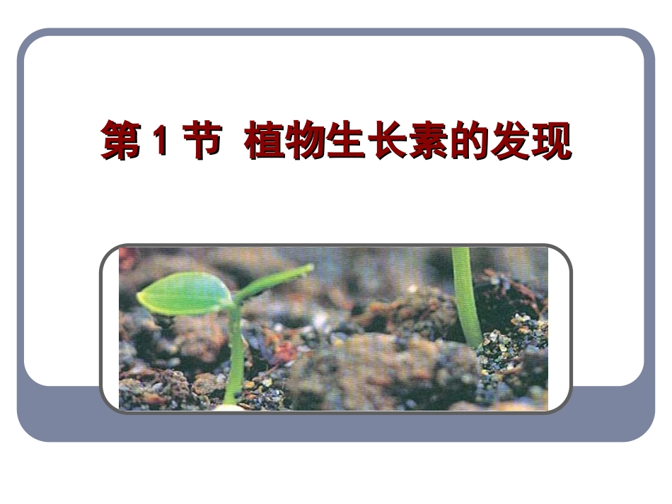 植物生长素的发现_第2页