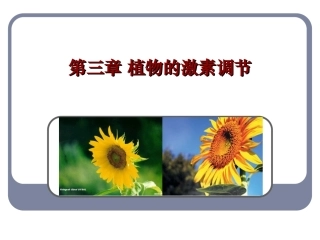 植物生长素的发现