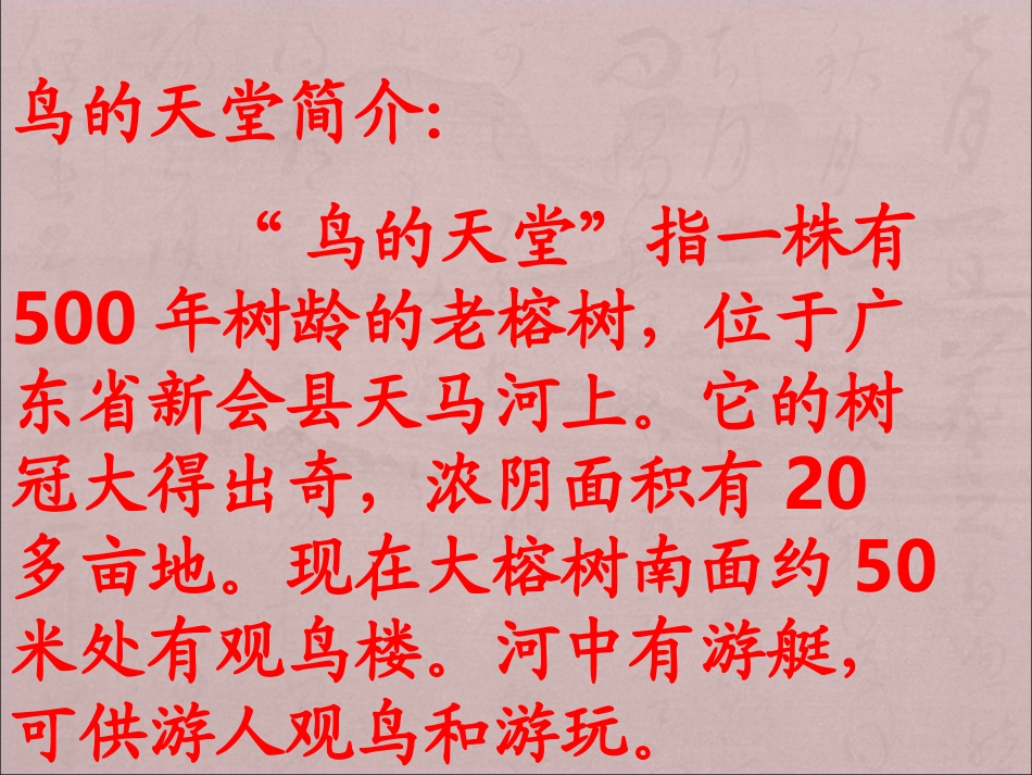 课件：鸟的天堂_第2页