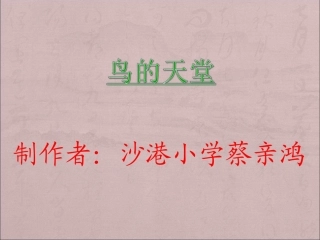 课件：鸟的天堂