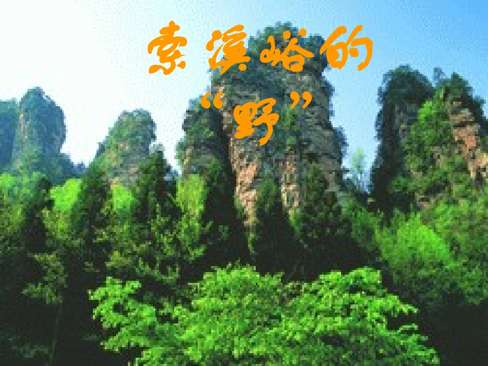 索溪峪的野 (4)_第1页