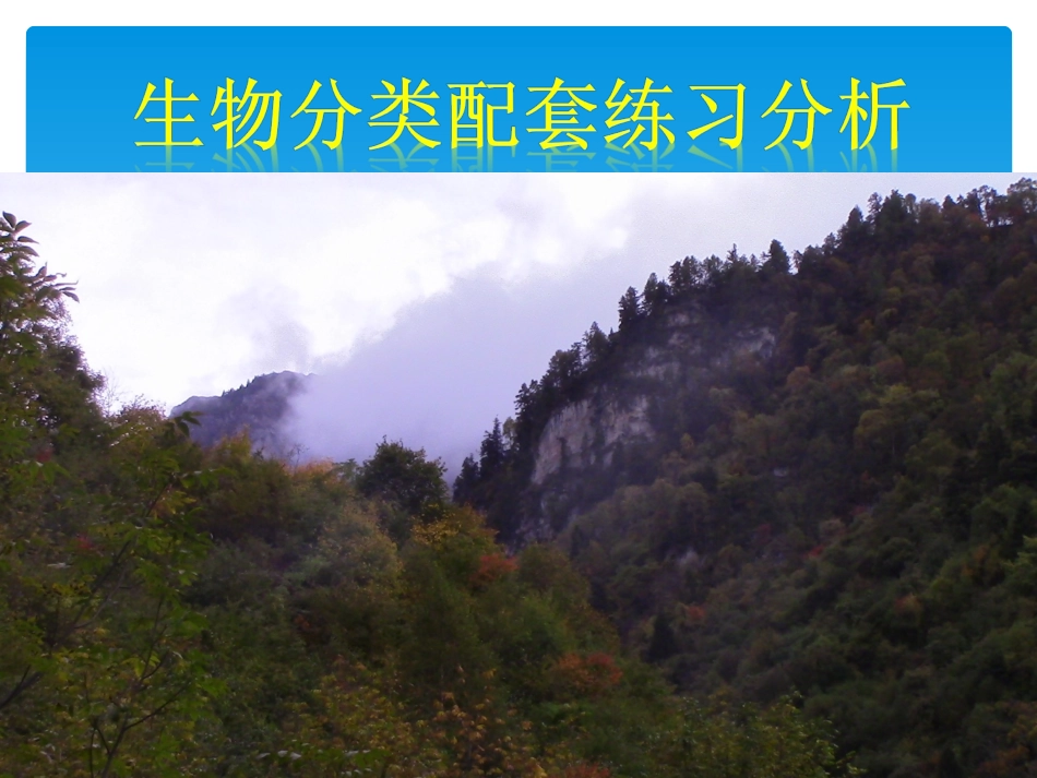 生物分类配套练习分析_第1页