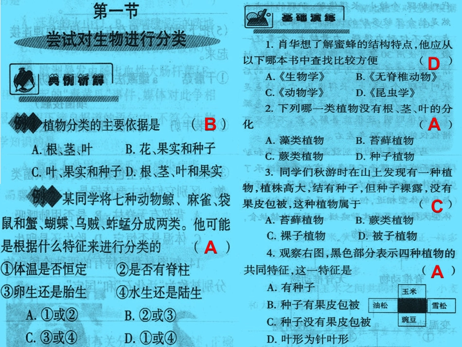 生物分类配套练习分析_第2页