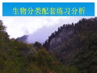生物分类配套练习分析