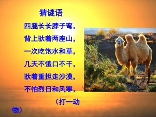 五年级语文下册第二组6冬阳童年骆驼队课件