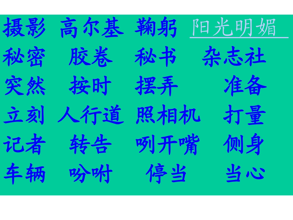 小摄影师 (2)_第2页