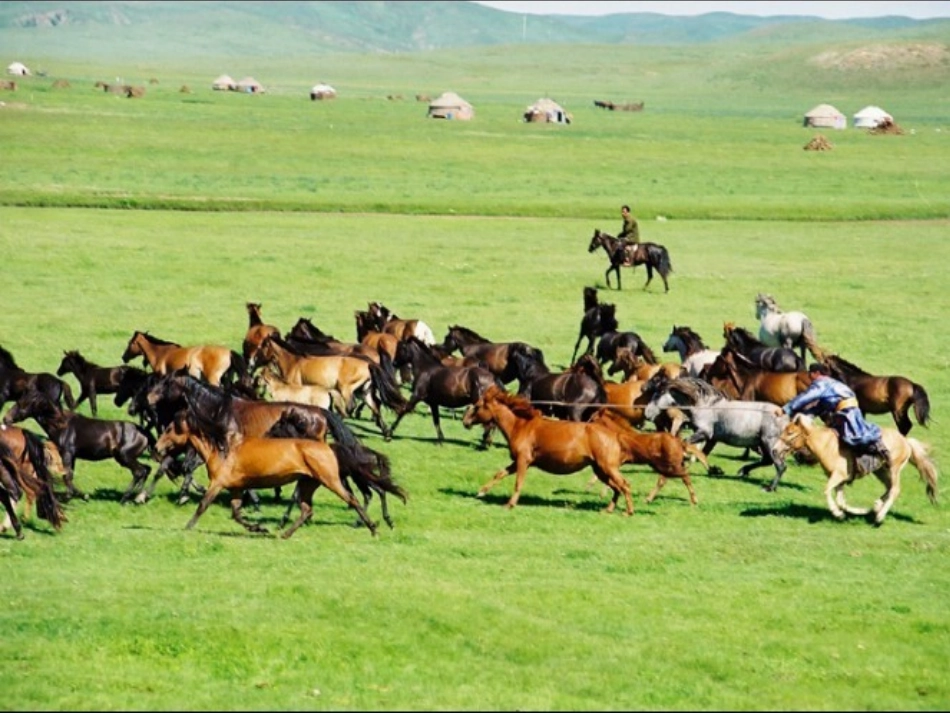 牧歌课件_-_第3页