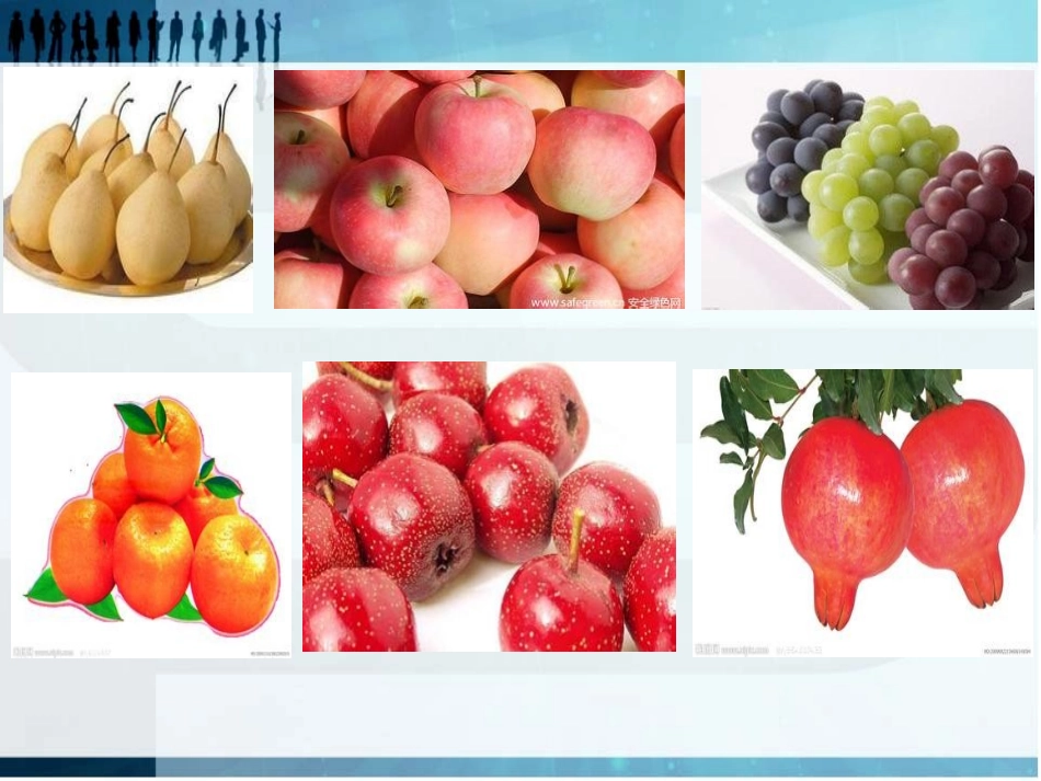 种子在哪里3_第2页