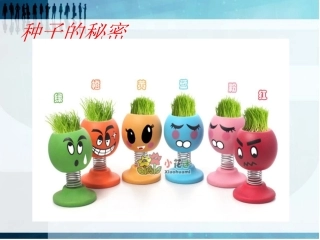 种子在哪里3