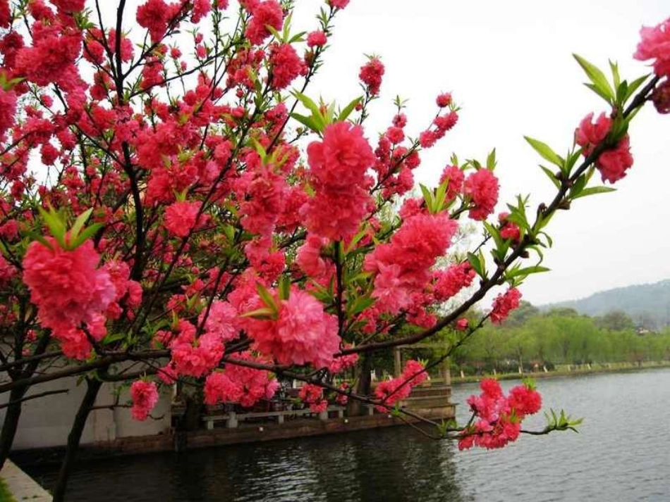 送春课件李秀红_第2页