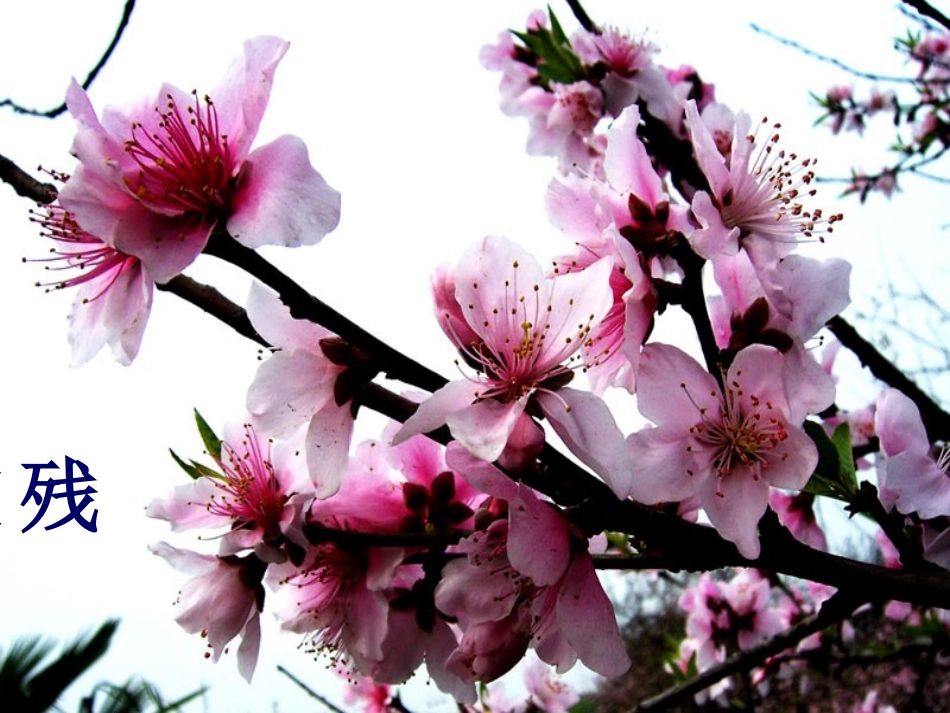 送春课件李秀红_第3页