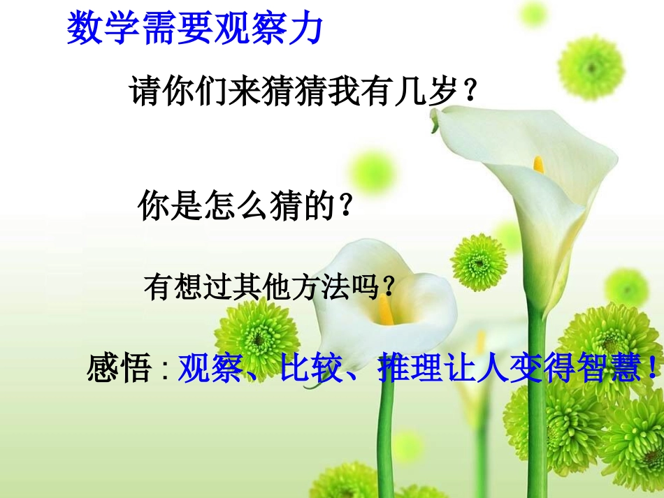 数学小学、初中衔接 (2)_第3页