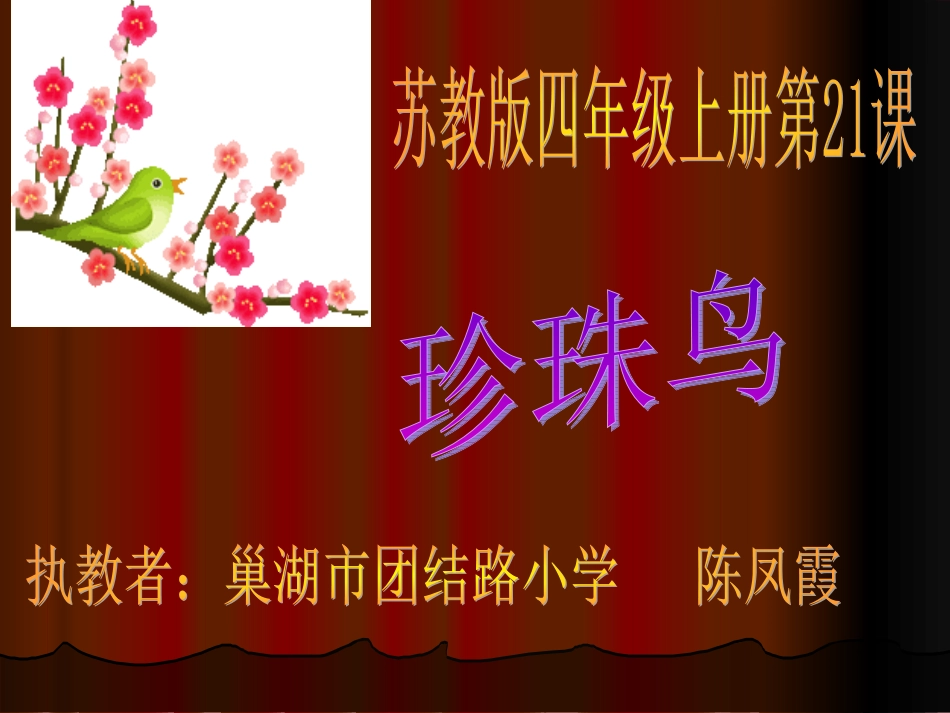 珍珠鸟课件 (4)_第1页