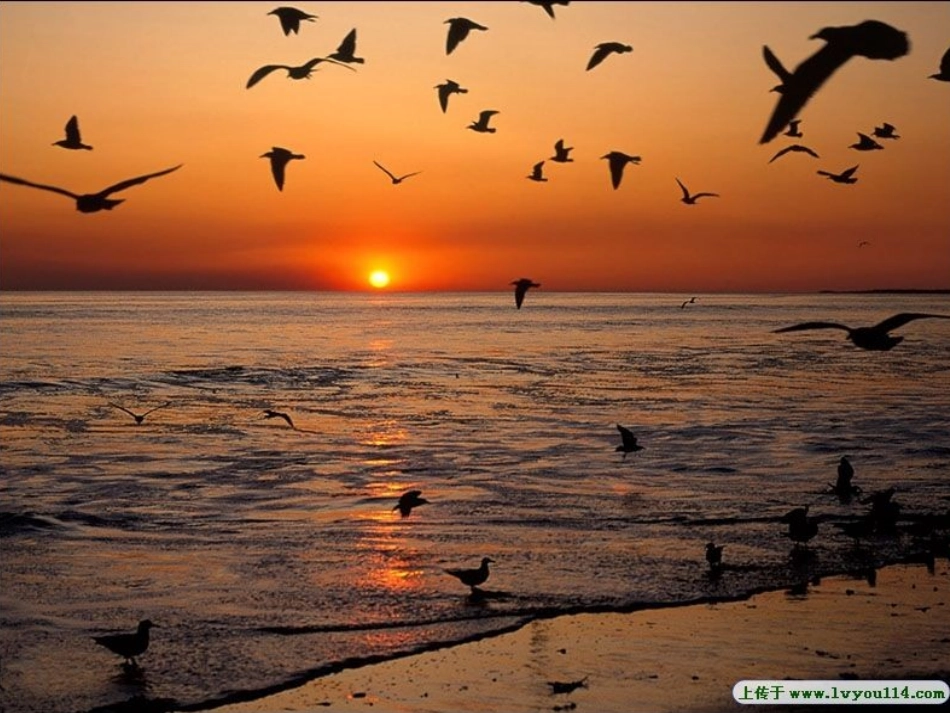 绚丽的阳光课件_第2页