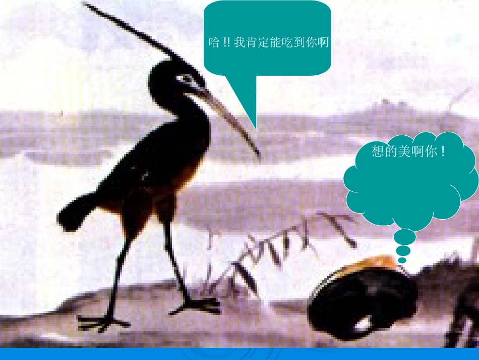 鹬蚌相争课件2_第3页