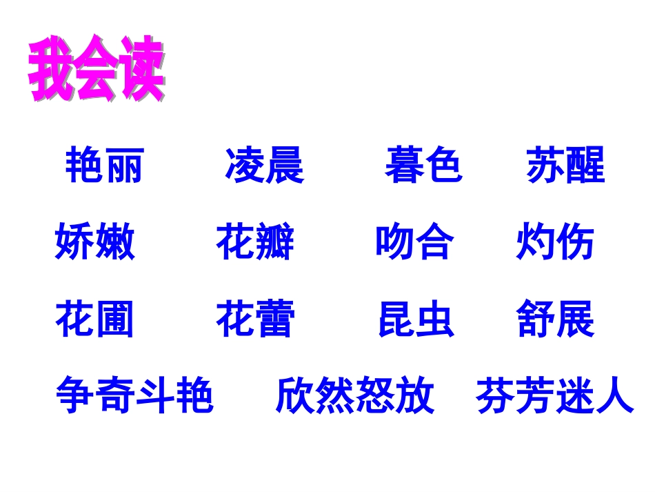 三年级13《花钟》nan课件_第2页