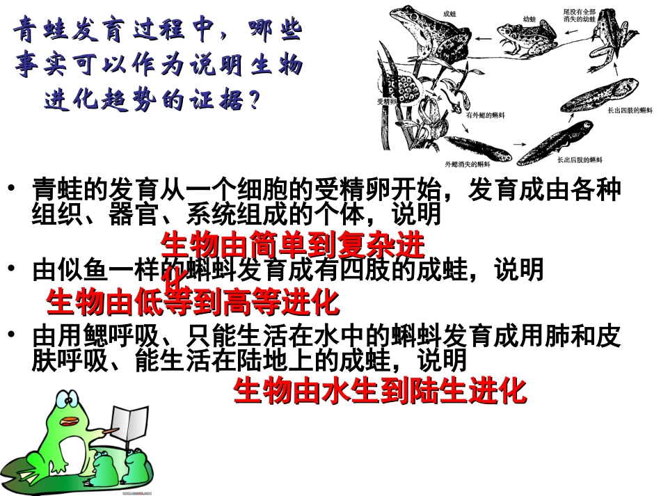 生物进化的原因 (2)_第2页
