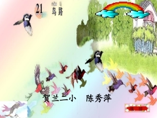 鸟路（上课用）