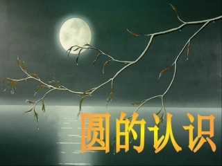 圆的认识谢其华