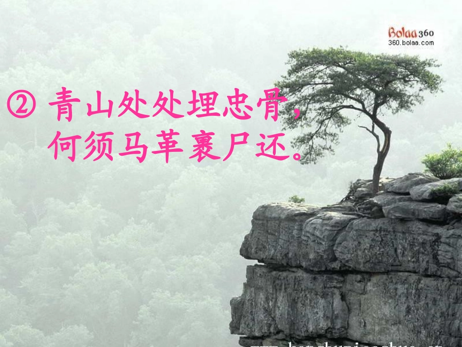 青山处处埋忠骨PPT5_第2页