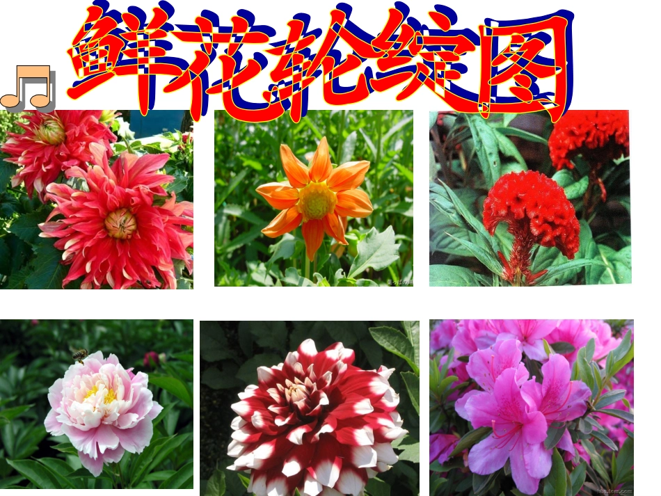 乡下人家课件 (2)_第3页