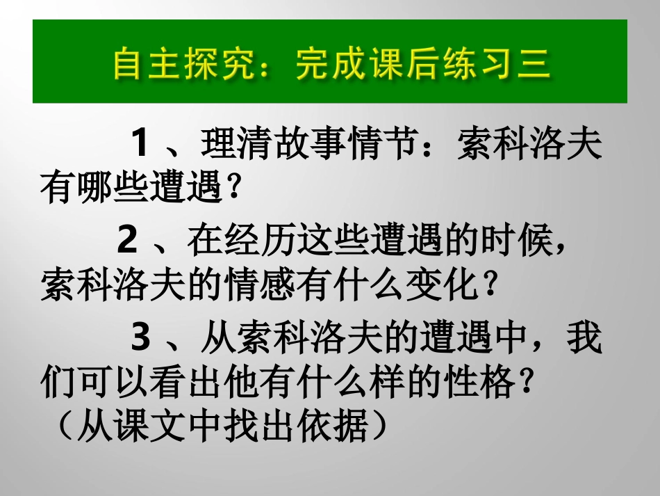 一个人的遭遇（1）_第3页