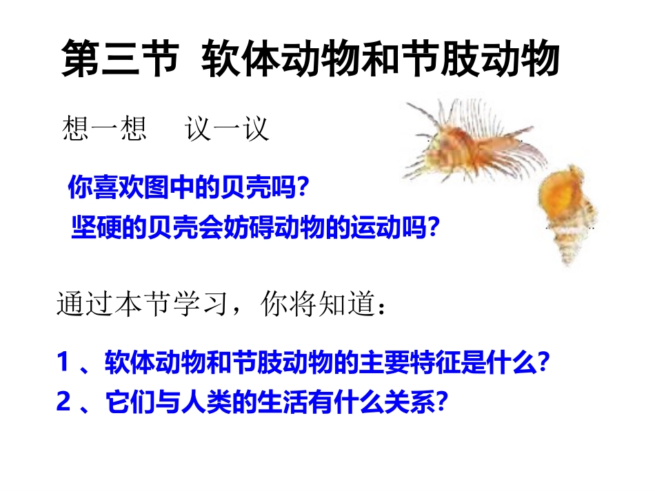 软体动物和节肢动物_第2页
