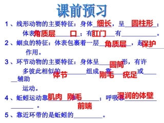 软体动物和节肢动物