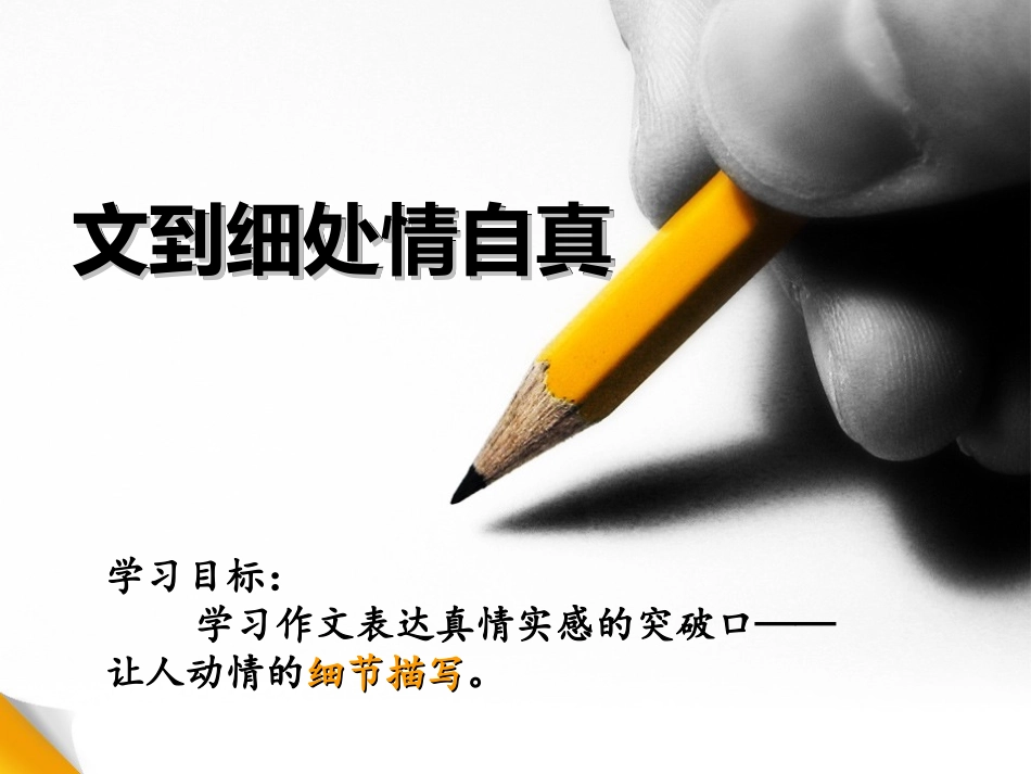 作文之细节描写_第1页