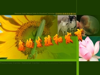 鸟的生殖和发育