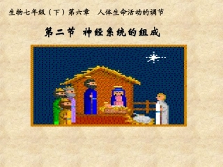 神经系统的组成
