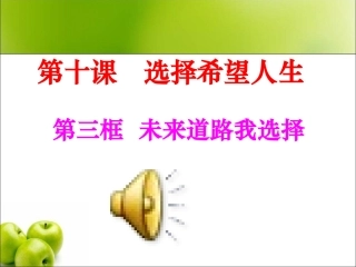 人教版九年级全册第十课第三框未来道路我选择（共19张PPT）[1]