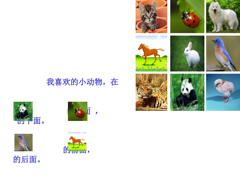 认识左右_312594_第3页