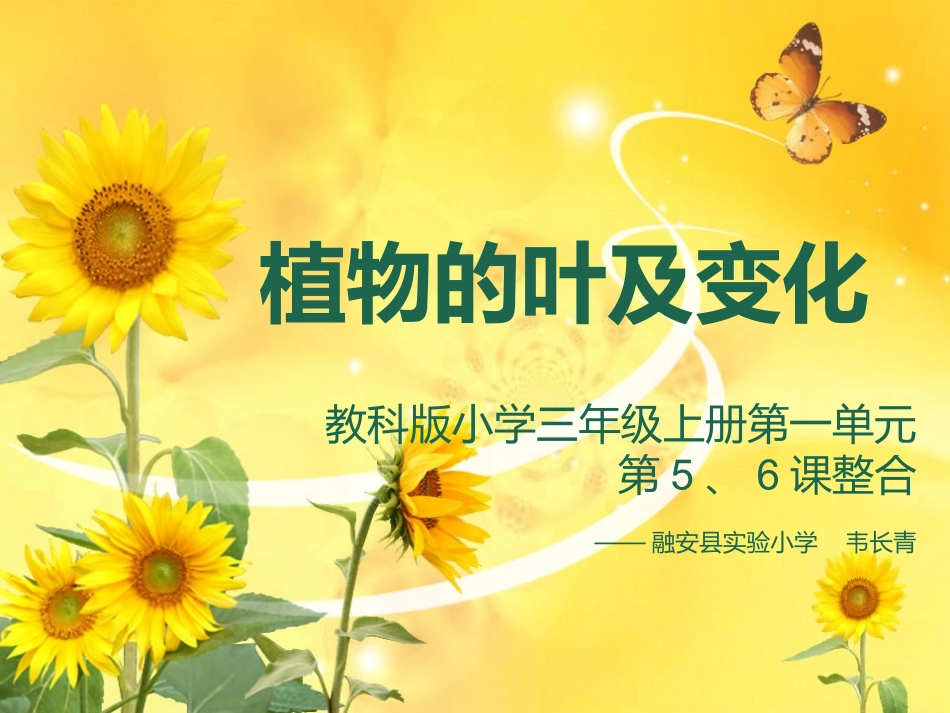 植物的叶及变化_第1页