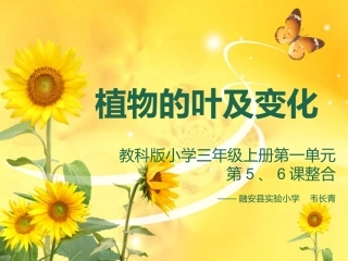 植物的叶及变化