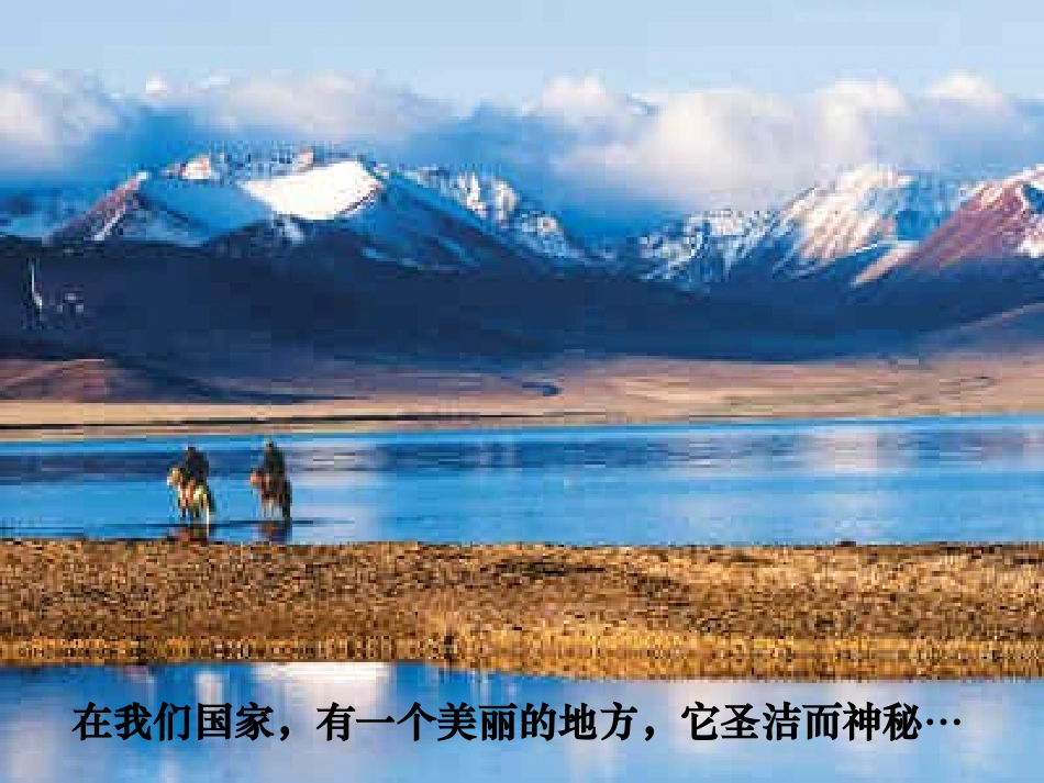 离太阳最近的树_第1页