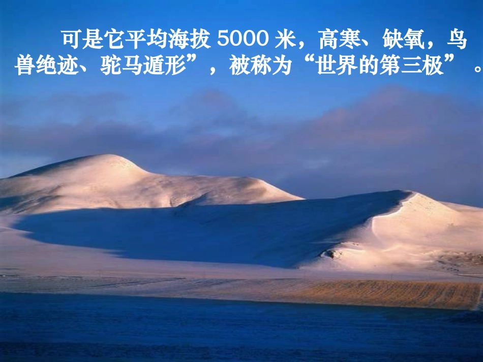 离太阳最近的树_第2页