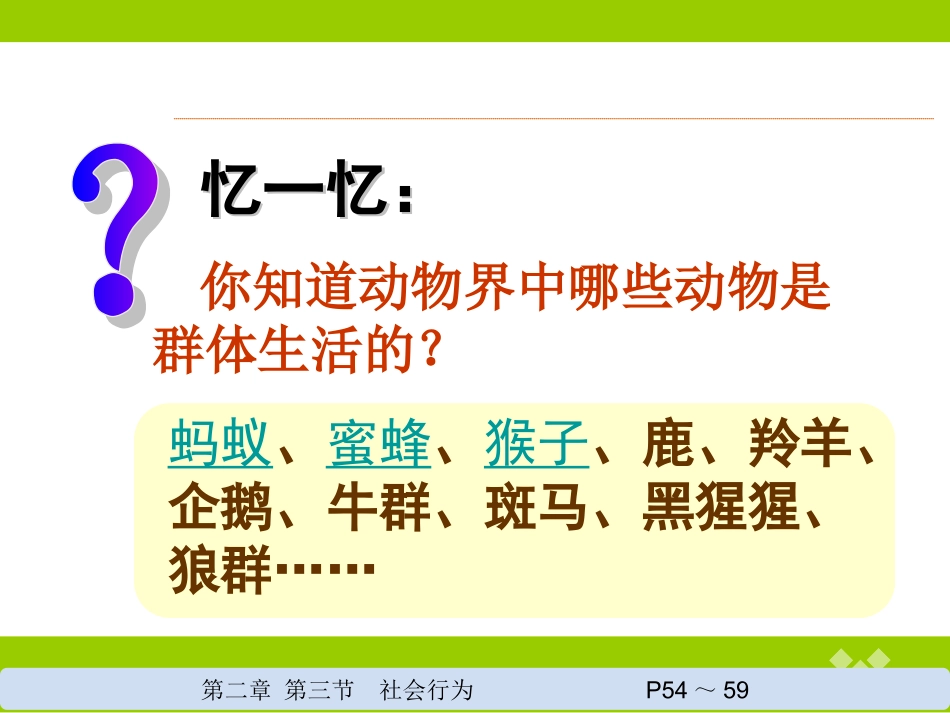 社会行为（雷）_第2页