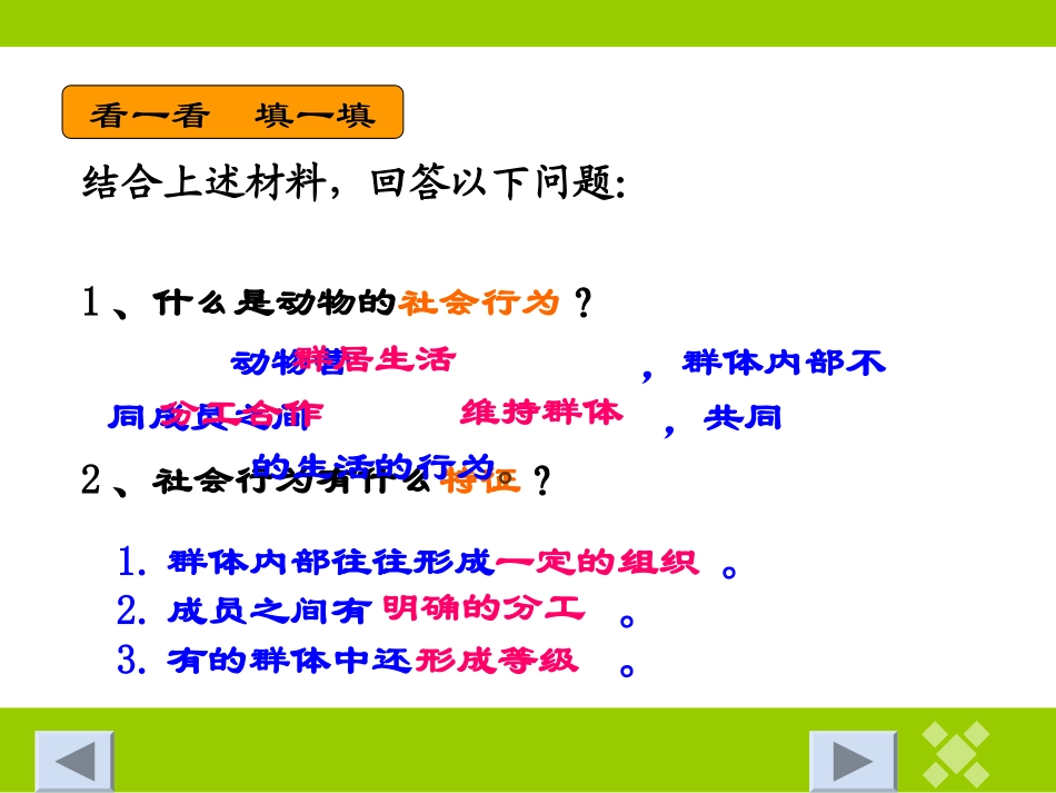 社会行为（雷）_第3页